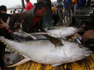 Jepang Butuh Tenaga Kerja Perikanan, RI Siap Kirim