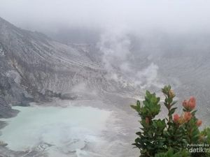 Aktivitas Gunung Tangkubanparahu Meningkat, Warga Diimbau Waspada