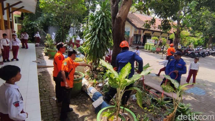 Ulat bulu teror SD di Pasuruan