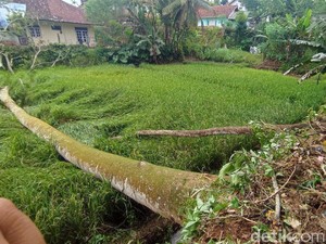Angin Kencang Menerjang Desa Nasol Ciamis, Sejumlah Rumah Rusak