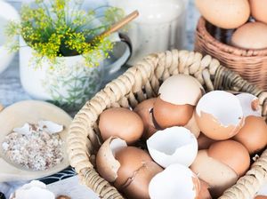 7 Manfaat Tersembunyi Cangkang Telur yang Perlu Kamu Ketahui