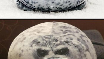 Meski bentuk sama, tapi tetap tidak sesuai dengan yang dipajang. Foto: Boredpanda