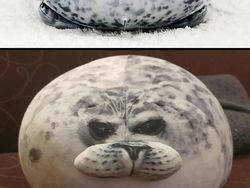 Foto Ekspektasi Vs Barang Diterima Saat Belanja Online Bikin Tepok Jidat