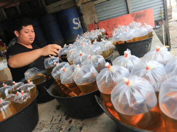 Harga Minyak Goreng Curah Naik Tembus Rp 20 Ribu/Liter