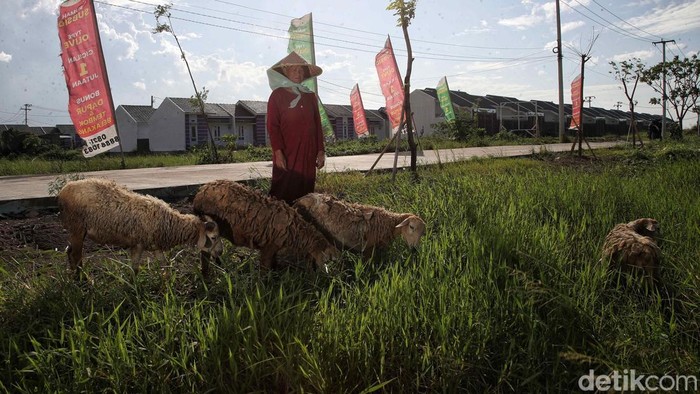 PT Bank Tabungan Negara (Persero) Tbk (BTN) mengusulkan 3 skema pembiayaan subsidi untuk Program 3 Juta Rumah. Ketiganya memiliki masa tenor yang panjang yakni hingga 30 tahun.