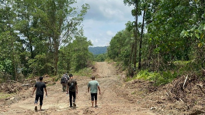 Lokasi perambahan kawasan hutan