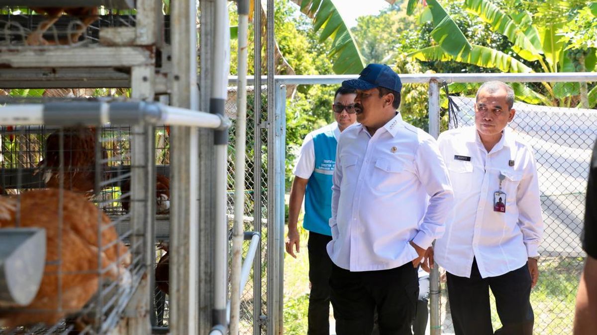 'Pulau Penjara' Akan Ditransformasi Jadi Percontohan Pusat Pelatihan Warga Binaan