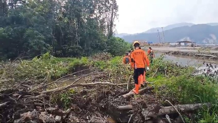 Pria bernama Andika Lakoro (32) di Kabupaten Morowali Utara (Morut), Sulawesi Tengah (Sulteng), hilang usai diterkam buaya saat mencuci tangan di rawa.