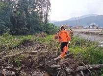 Video: Pria di Morowali Utara Hilang Diterkam Buaya Saat Cuci Tangan di Rawa