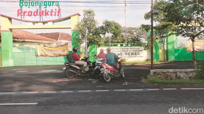 pasar hewan balen di bojonegoro ditutup