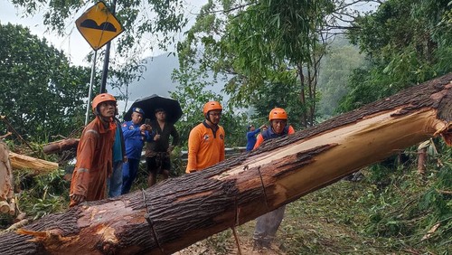 Petugas BPBD Bangli membereskan sisa reruntuhan pohon akibat hujan deras, Kamis (6/2/2025).