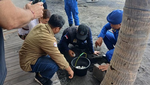 Sebanyak 106 butir telur penyu lekang  (Lepidochelys olivacea) dievakuasi Satpolairud Polres Buleleng dari Pantai Buleleng, Kamis (6/2/2025). (Dok. Polres Buleleng)