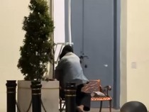 Bukannya Berwisata, Sejoli Malah Bermesraan di Kota Lama Surabaya