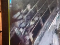 Motor Remaja di Palembang Raib, Diangkut Pelaku Pakai Mobil Pikap