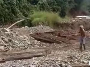 Ular Piton 6,5 Meter Ditangkap Usai Mangsa Ayam