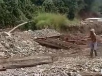 Ular Piton 6,5 Meter Ditangkap Usai Mangsa Ayam