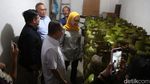 Wakil Ketua DPR RI Dasco Sidak Penjualan LPG 3 Kg
