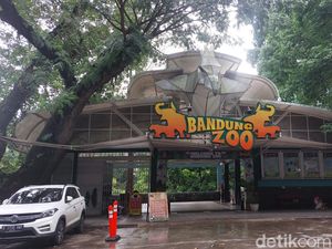 5 Tempat Wisata Hewan Ramah Anak di Bandung Beserta Harga Tiketnya