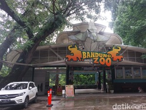 5 Tempat Wisata Hewan Ramah Anak di Bandung Beserta Harga Tiketnya