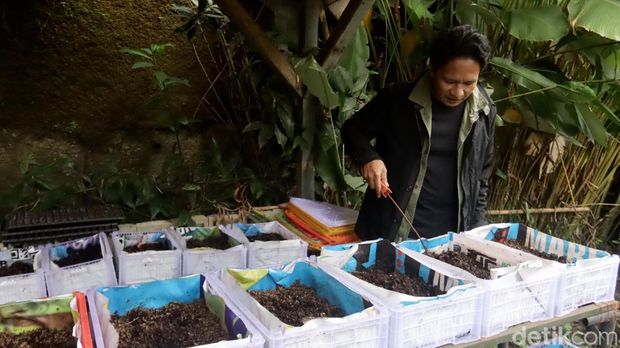 CEO Grav Farm Indonesia R Yugian Leonardy