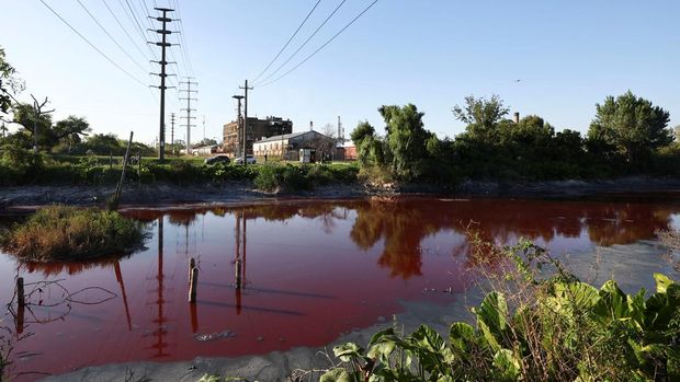 The Sarandi stream, which flows into the Rio de la Plata river, is seen dyed red for unknown reasons, in Buenos Aires, Argentina February 6, 2025. REUTERS/Agustin Marcarian