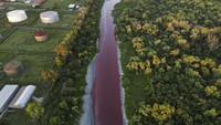 Foto udara menunjukkan kondisi air yang berwarna merah pada aliran sungai di kawasan metropolitan Buenos Aires, Argentina, Kamis (6/2/2025). (AP Photo/Rodrigo Abd)