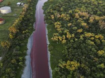 Kanal Argentina Berubah Jadi Merah Terang, Warga Khawatir