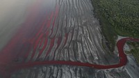 Dikutip dari Reuters, pihak berwenang telah mengambil sampel air dari sungai tersebut yang mengalir ke Rio de la Plata dan berbatasan dengan cagar ekologi untuk mengetahui penyebab perubahan warna tersebut. (AP Photo/Rodrigo Abd)