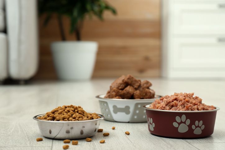 Kesal Bekalnya Hilang, Wanita Ini Kasih Pelajaran Beri Makanan Anjing
