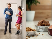 Kesal Bekalnya Hilang, Wanita Ini Kasih Pelajaran Beri Makanan Anjing