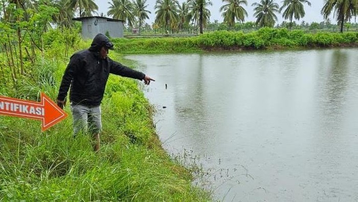 Seorang balita berinisial A (2) di Kabupaten Pangkep, Sulawesi Selatan (Sulsel), ditemukan tewas gegara tenggelam di empang belakang rumahnya.