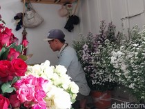 Panen Bunga Potong di Kota Batu Susut Imbas Cuaca Ekstrem