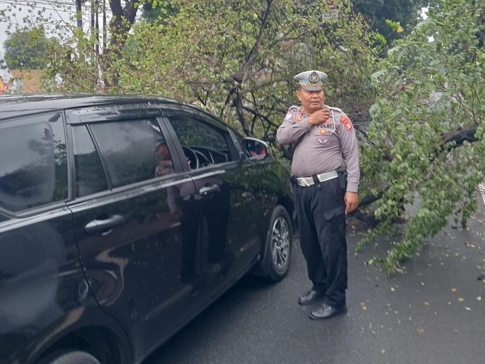 Pohon tumbang di depan TMP Kalibata Jaksel, 7 Februari 2025 pagi. (Dok TMC Polda Metro Jaya)
