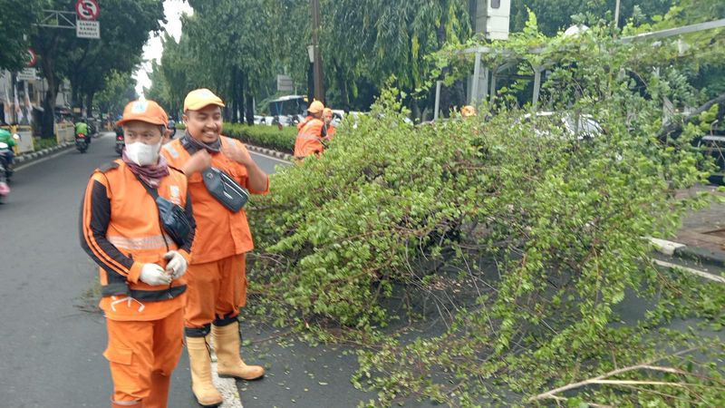 Pohon tumbang di depan TMP Kalibata Jaksel, 7 Februari 2025 pagi. (Dok TMC Polda Metro Jaya)