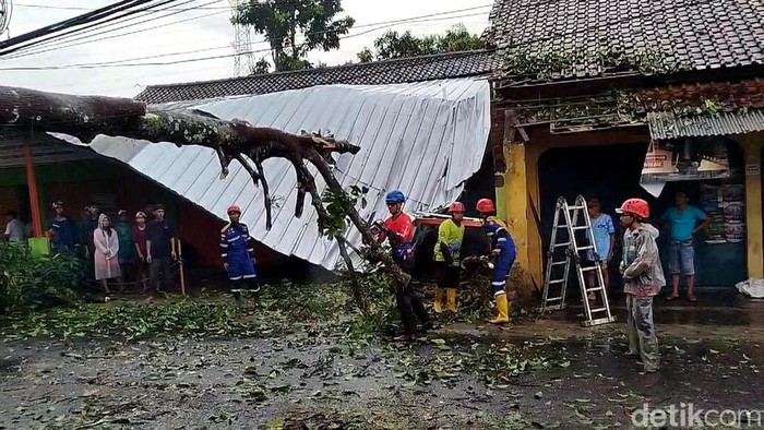 Rumah warga di Desa Leuwibudah Sukaraja Kabupaten Tasikmalaya, Jabar tertimpa pohon tumbang
