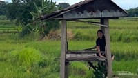 Rehat Sejenak di Gubuk untuk menikmati pemandangan