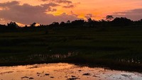 Menikmati alam sampai Senja