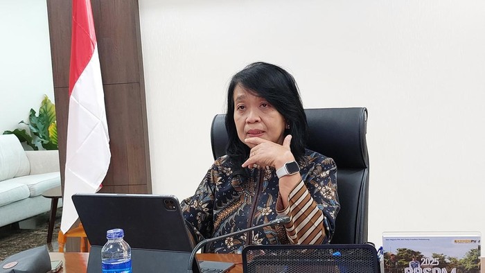 Wakil Menteri PU Diana Kusumastuti