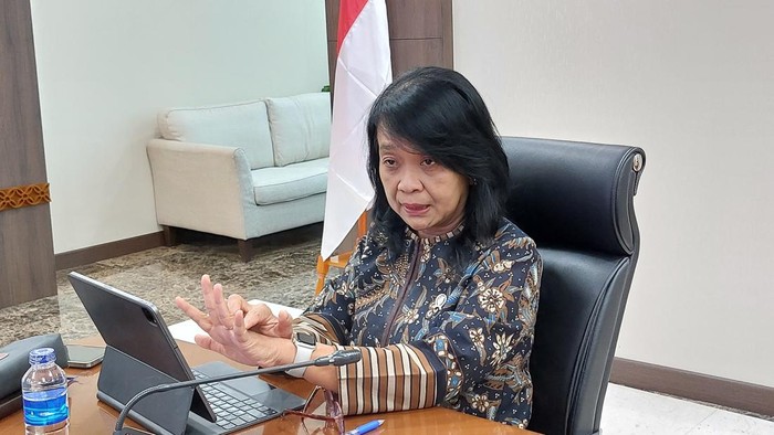 Wakil Menteri PU Diana Kusumastuti