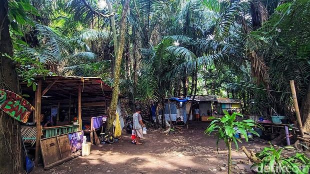 Batu Kenit di Cagar Alam Sukawayana Sukabumi