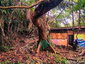 Kisah Batu Kenit di Cagar Alam Sukawayana yang Tak Lagi Angker