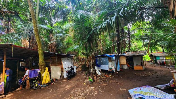 Batu Kenit di Cagar Alam Sukawayana Sukabumi