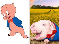 Begini Jadinya Sonic, Garfield Hingga Squidward di Dunia Nyata