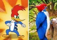 Begini Jadinya Animasi Sonic, Garfield Hingga Squidward di Dunia Nyata