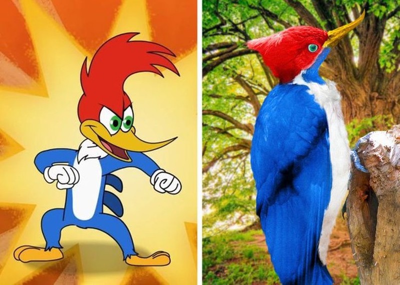 Begini Jadinya Animasi Sonic, Garfield Hingga Squidward di Dunia Nyata