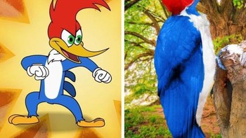 Woody Woodpecker. Foto: Brightside