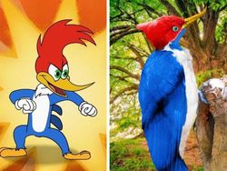 Begini Jadinya Sonic, Garfield Hingga Squidward di Dunia Nyata