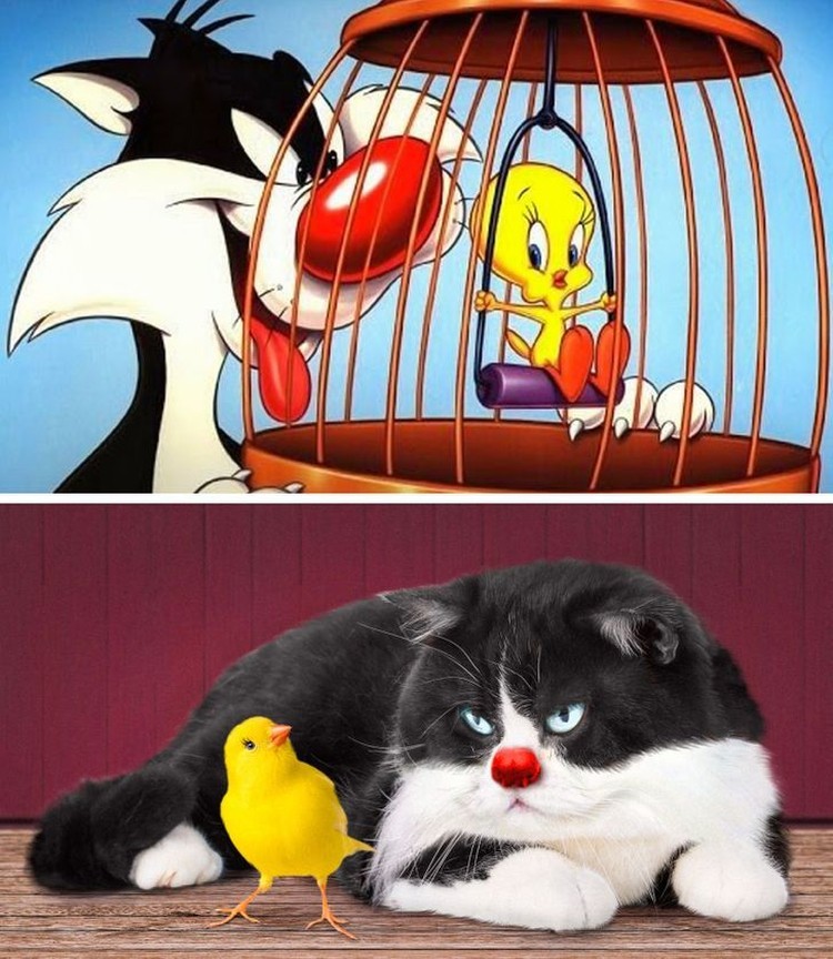 Begini Jadinya Animasi Sonic, Garfield Hingga Squidward di Dunia Nyata