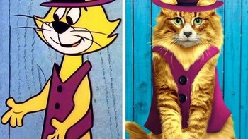Top Cat. Foto: Brightside