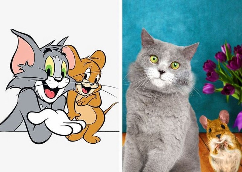 Begini Jadinya Animasi Sonic, Garfield Hingga Squidward di Dunia Nyata